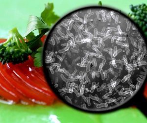 Niektoré baktérie môžu spôsobiť hnačku po konzumácii kontaminovaného jedla alebo vody