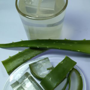 Aloe Vera nápoj Úžasný prírodný elixír pre vaše zdravie